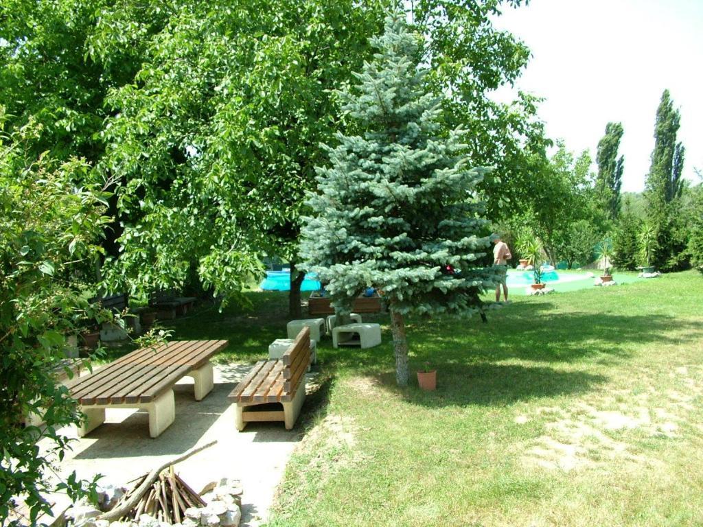 Zoldhaz Bio Panzio Hotell Gyenesdiás Exteriör bild